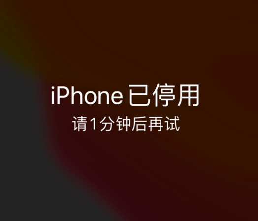 始兴苹果手机维修分享:iPhone 显示“不可用”或“已停用”怎么办？还能保留数据吗？ 