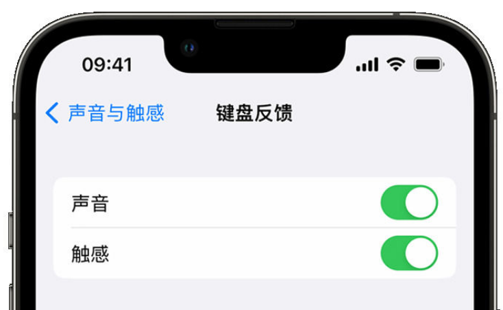 始兴苹果手机维修分享iPhone 14触感键盘使用方法 