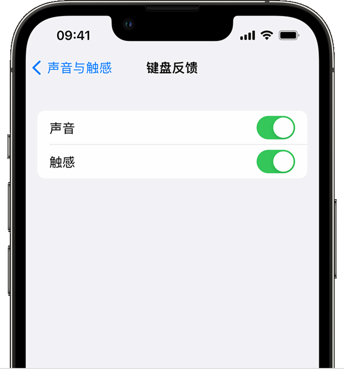 始兴苹果14维修店分享如何在 iPhone 14 机型中使用触感键盘 