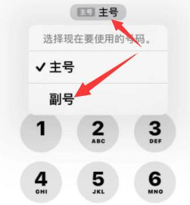 始兴苹果14维修店分享iPhone 14 Pro Max使用副卡打电话的方法 