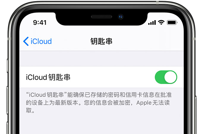 始兴苹果手机维修分享在 iPhone 上开启 iCloud 钥匙串之后会储存哪些信息 