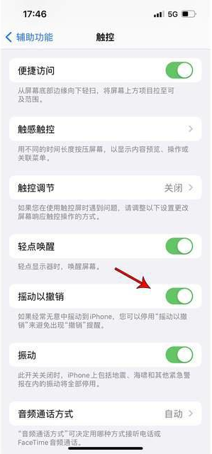 始兴苹果手机维修分享iPhone手机如何设置摇一摇删除文字 