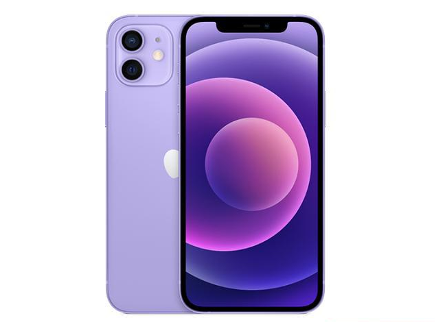 始兴苹果手机维修分享现阶段要不要入手紫色版iPhone12 